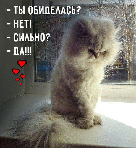 ты овилвмсьгд нвп БИАЬНО мы