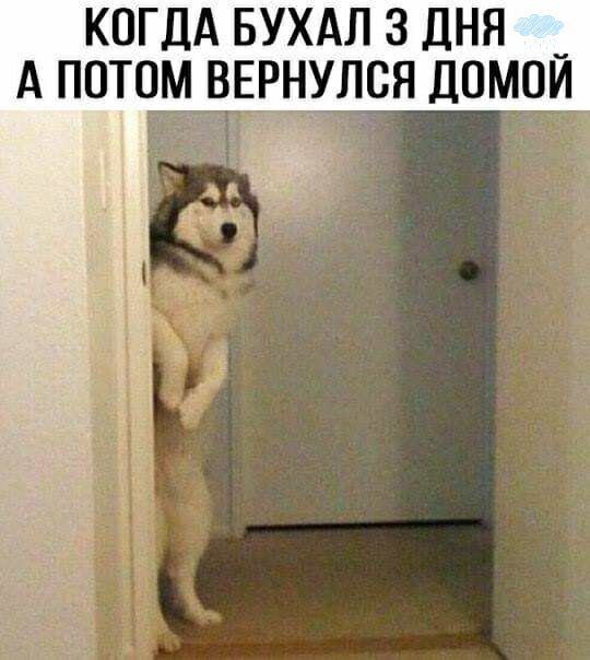 КОГДА БУХАЛ 3 ДНЯ _ А ПОТОМ ВЕРНУЛСЯ ДПМОИ