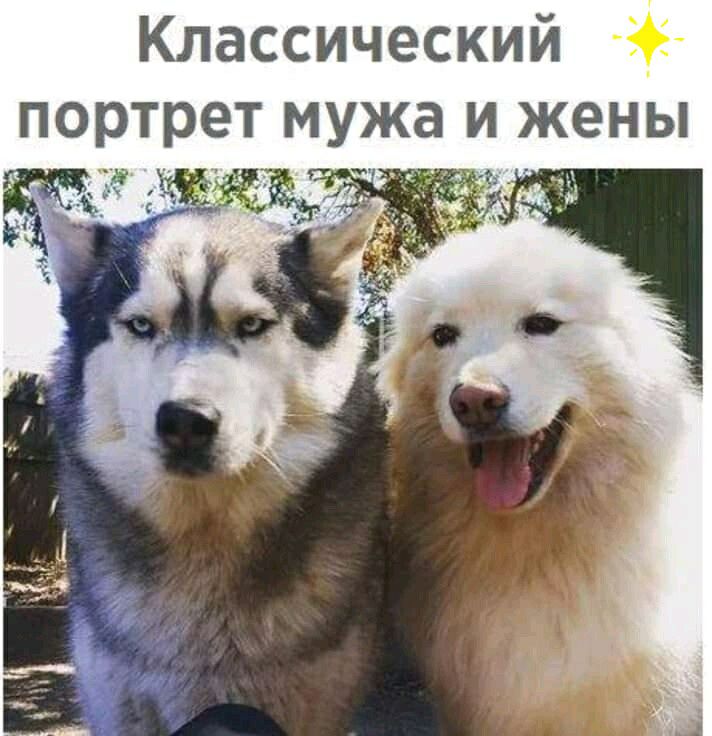 Классический ужа и жены