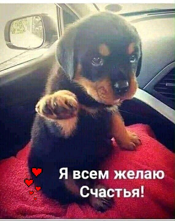 Я всем желаю Счастья