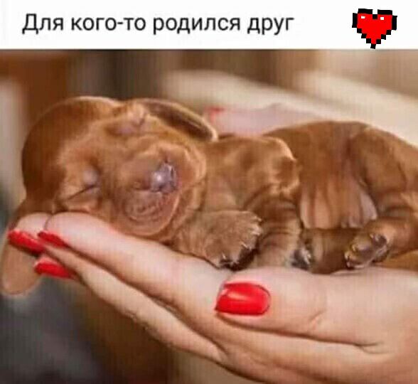 Для кого то родился ДРУГ