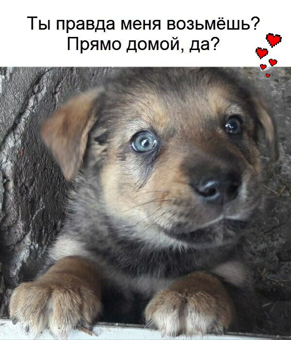 Ты правда меня возьмёшь Прямо домой да