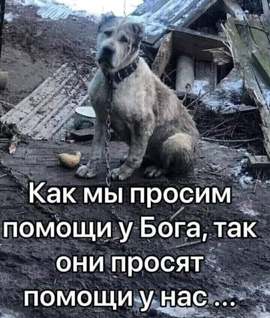 а помощи у Бога так он просят помощиунасвзъёЁ