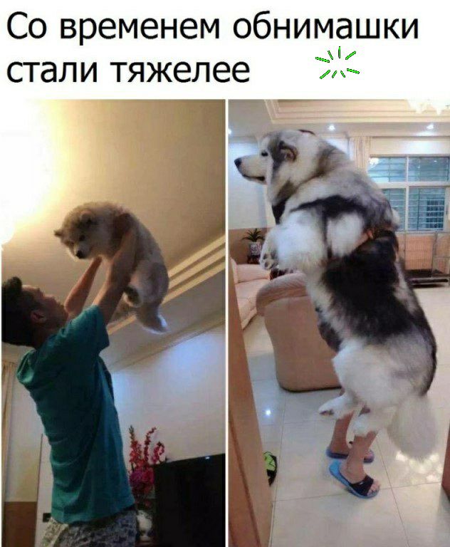 Со временем обнимашки __Н СТдЛИ тяжелее
