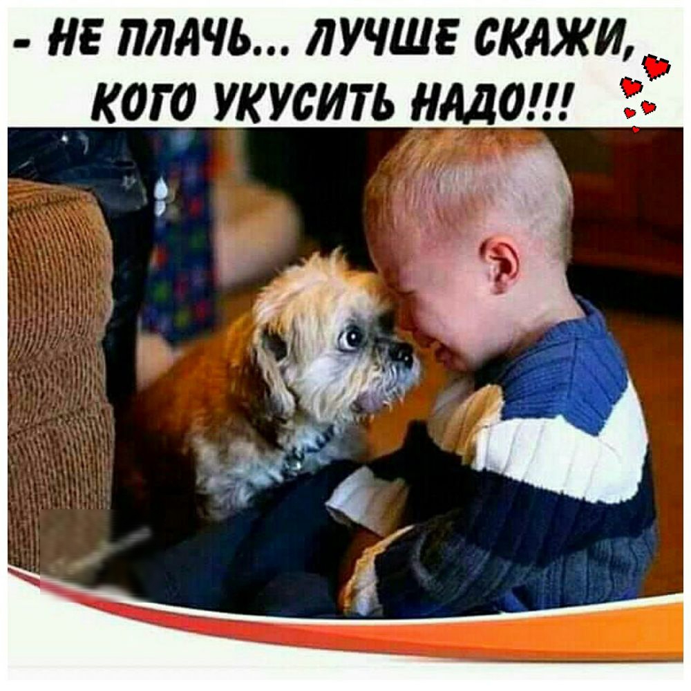 на пяти лучше скажи _ кого укусить надои