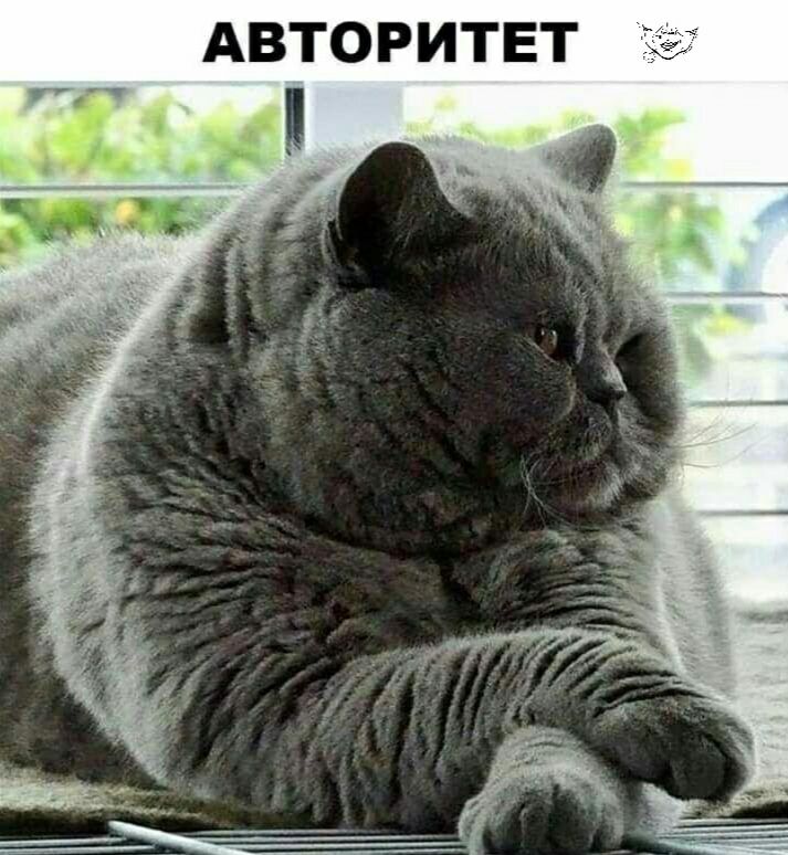 АВТОРИТЕТ