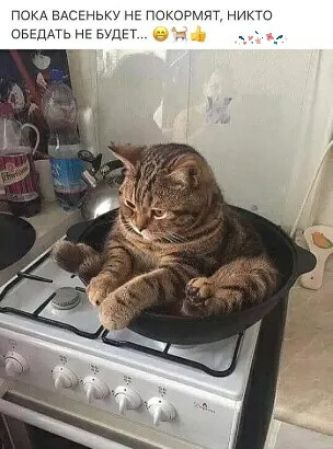 док шсшшку нп покатит пико ыыдшьнмщм _