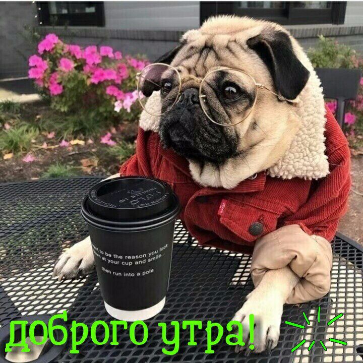 И у м а У и ч во