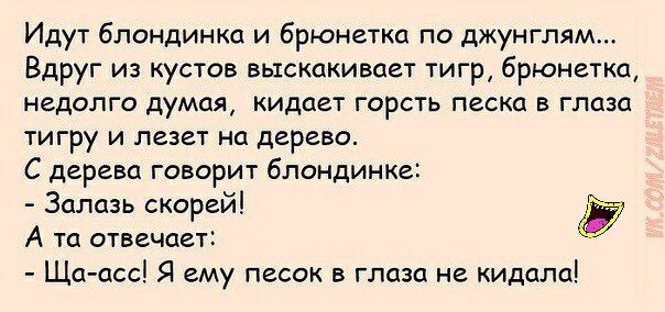 Идут блондинка и брюнетка по джунглям Вдруг из кустов выскакивает тигр брюнетка недолго думая кидает горсть песка в глаза тигру и лезет на дерево С дерева говорит блондинке Залцзь скорей А та отвечает Ща асс Я ему песок в глаза не кидала