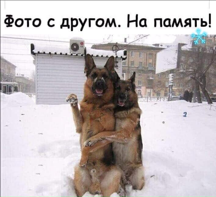 Фото с другом На память
