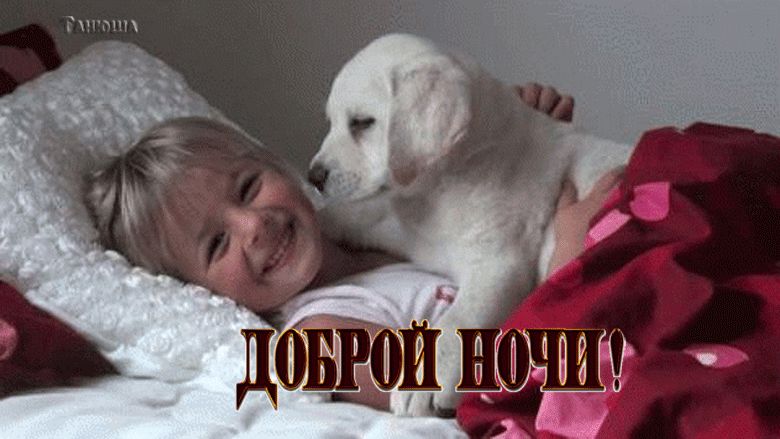 Сиу дип