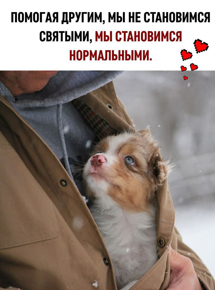ПОМПГАЯ дРУГИМ МЫ НЕ СТАНОВИМСЯ СВЯТЫМИ МЫ СТАНОВИМСЯ НОРМАЛЬНЫМИ 33 ьЪ