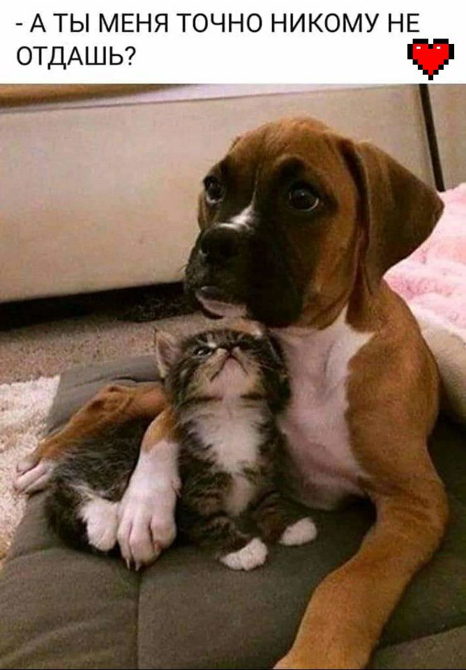 А ты МЕНЯ точно никому НЕ ОТДАШЬ