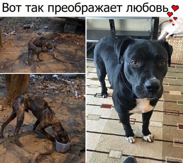 Вот так преображает любовь