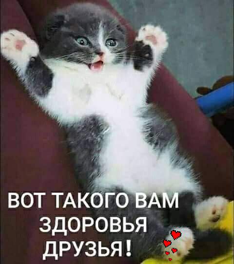 вот ТАК го здоровья друзьт