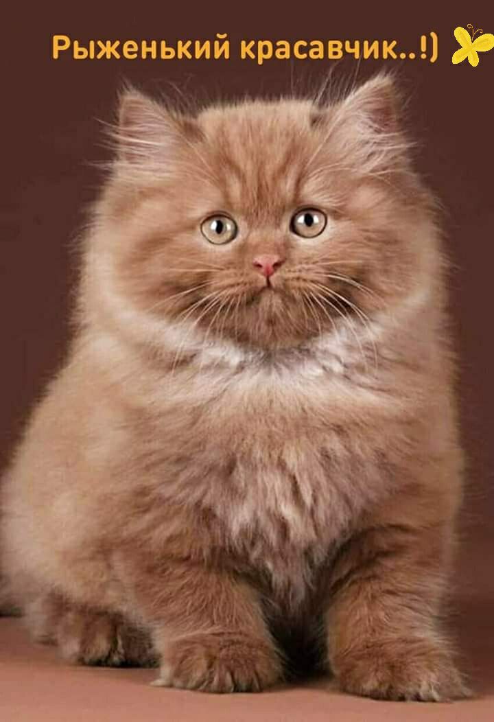 а ЫЖЬНЫ ИИК ЭКАЁВГГШЕ
