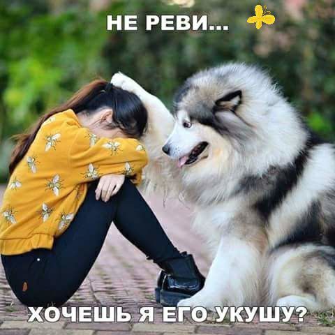 нв РЕВИ