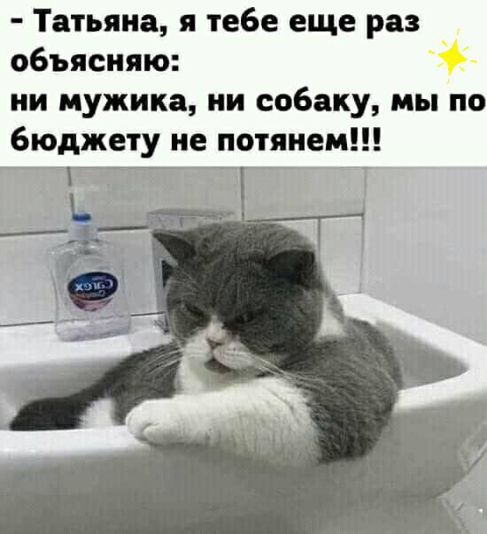 Татьяна я тебе еще раз объясняю ии мужика ии собаку мы по бюджету не потяием