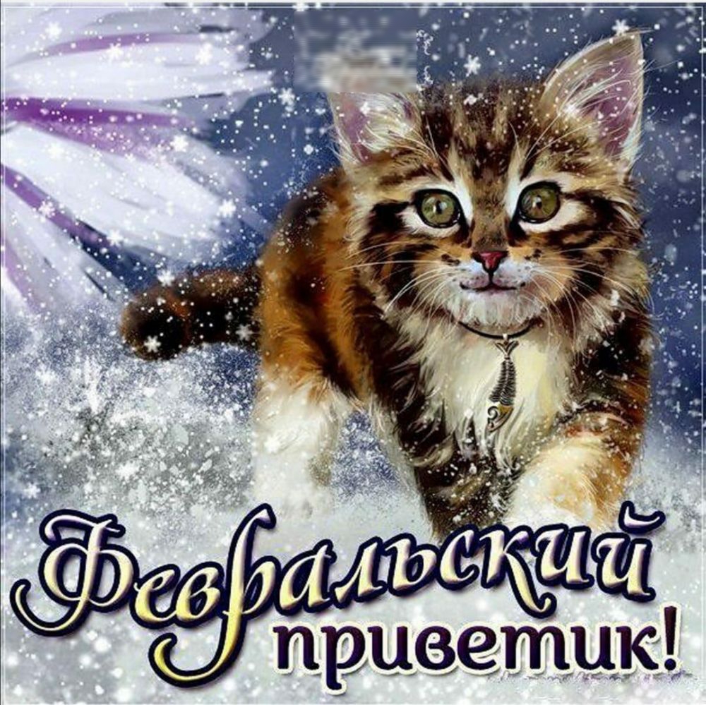приветик