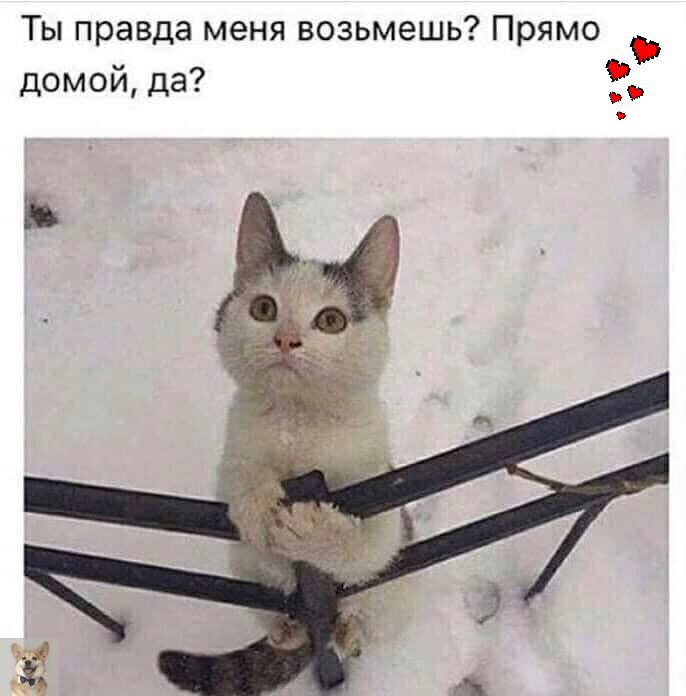 Ты правда меня возьмешь Прямо домой да