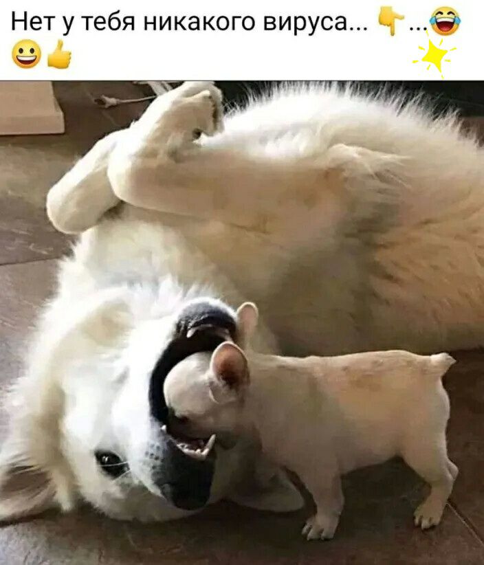 Нет у тебя никакого вируса