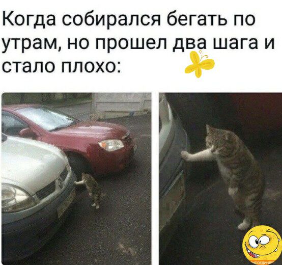 Когда собирался бегать по утрам но прошел два_ шага и стало плохо А