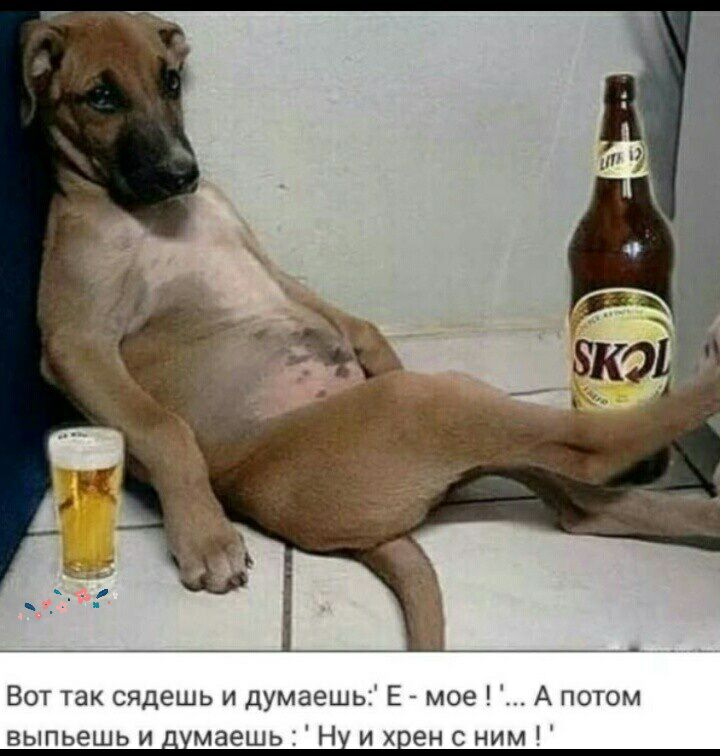 Вот так сядешь и думаешь Е мое А потом выпьешь и маеш Н и ен с ним