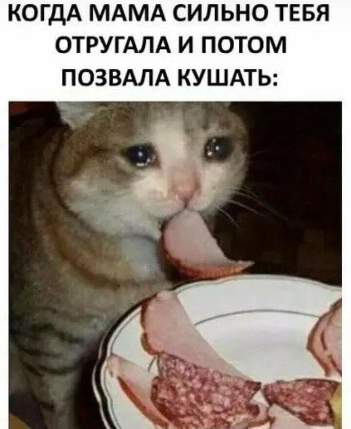 КОГДА МАМА СИЛЬНО ТЕБЯ ОТРУГАЛА И ПОТОМ ПОЗВАЛА КУШАТЬ