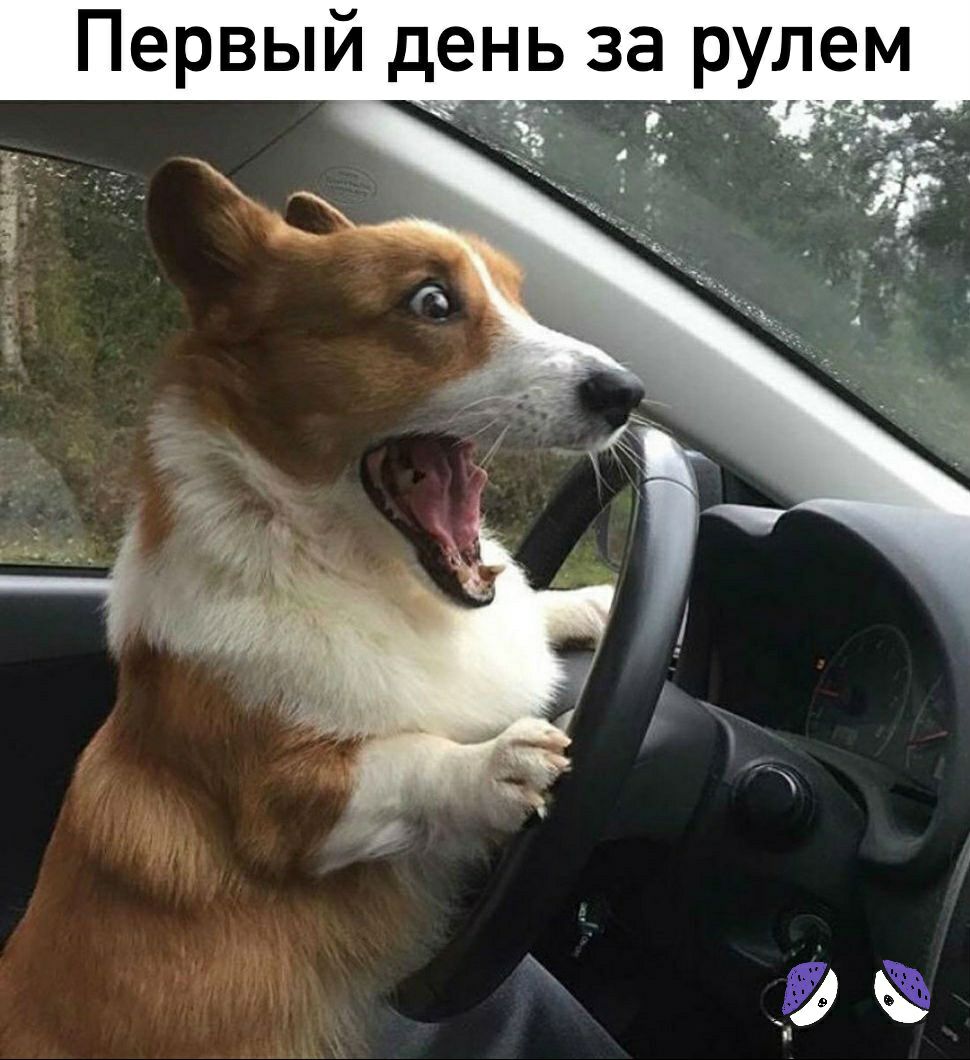 Первый день за рулем _Ё и 3