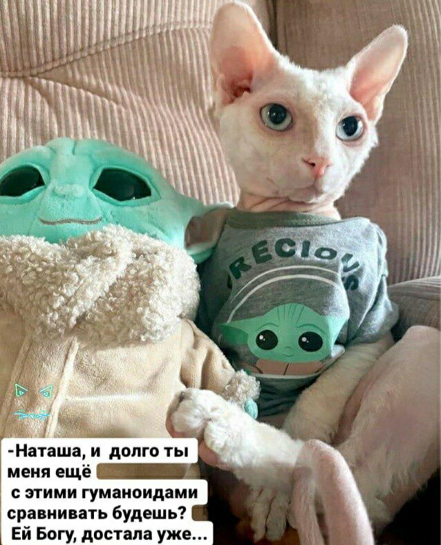 меня ещё с этими ГУМЗНОИДЗМИ сравнивать будешь Ей Богу достала уже
