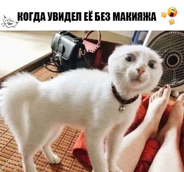 ногдд УВИДШ ЕЁ БЕЗ МАКИЯЖА