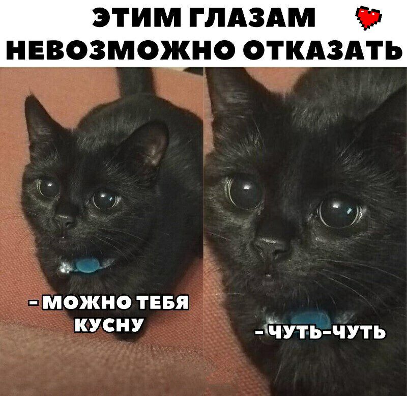 Нельзя отказать