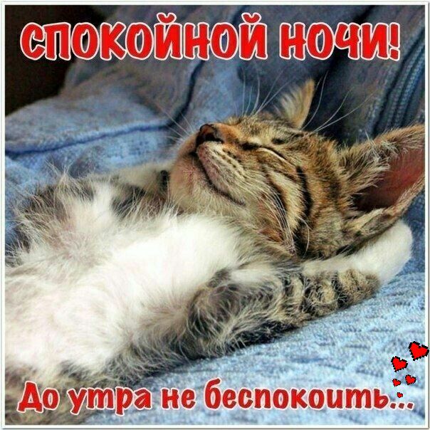 в и_ беспокоить
