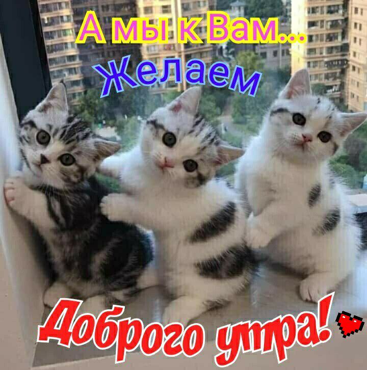 ада ды А мы КВаЁи 1 Е ьи 5 39 г _ А п 1 Т _ _ дд миа