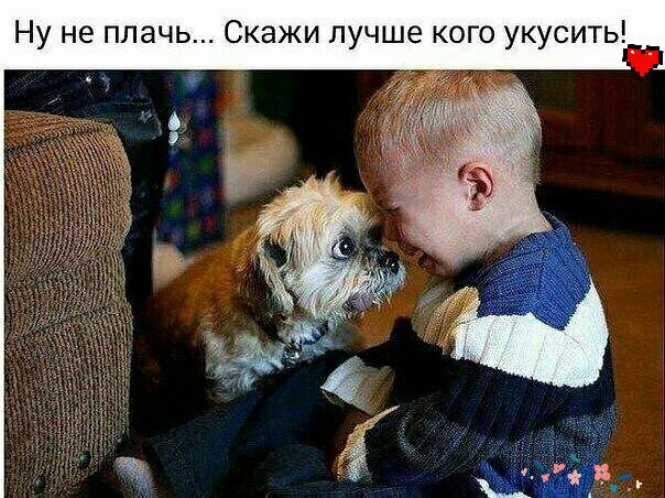 Ну не плачь Скажи лучше кого укусить