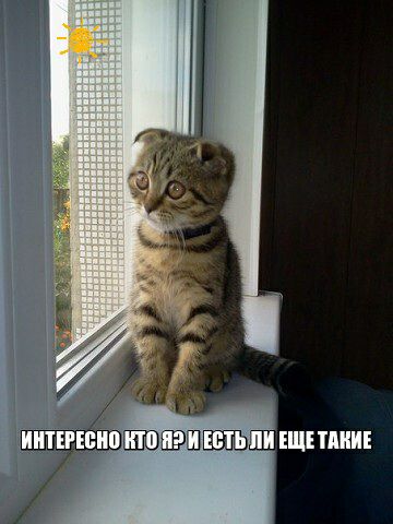ЕЩЕ ШШ