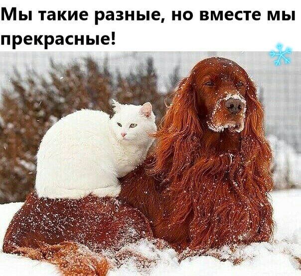 Мы такие разные но вместе мы прекрасные