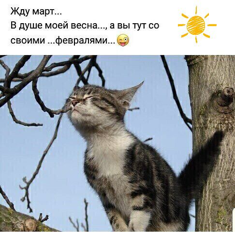 Жду март В душе моей весна а вы тут со своими феврапями