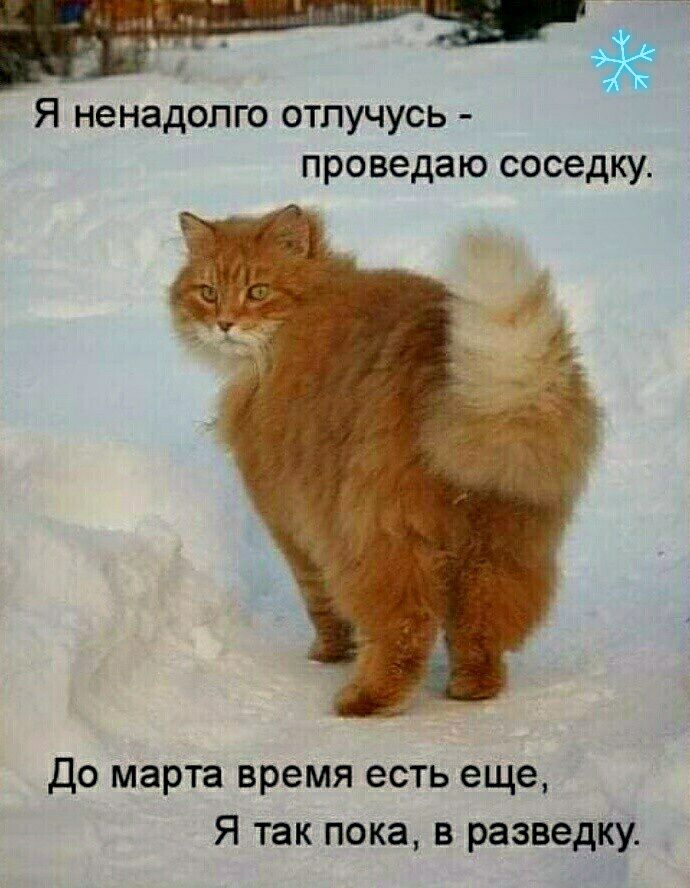 Я ненадолго отпучусь проведаю соседку до марта время есть еще Я так пока в разведку