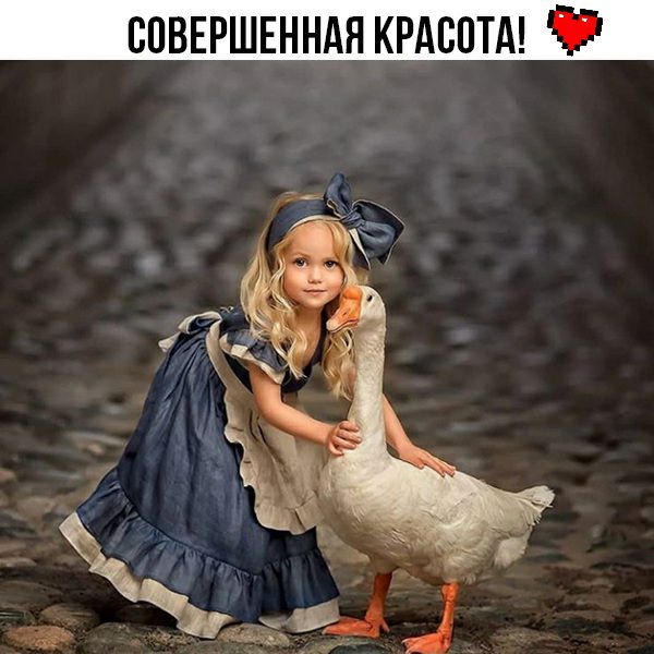 ВПВЕРШЕННАЯ КРАСОТА Ё