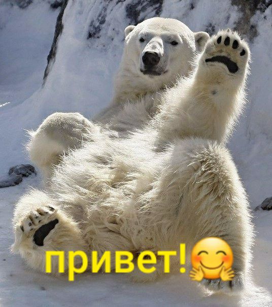 привет