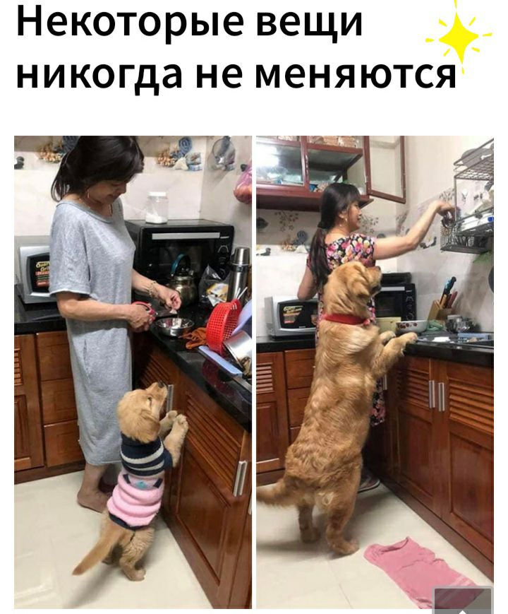 Некоторые вещи никогда не меняются