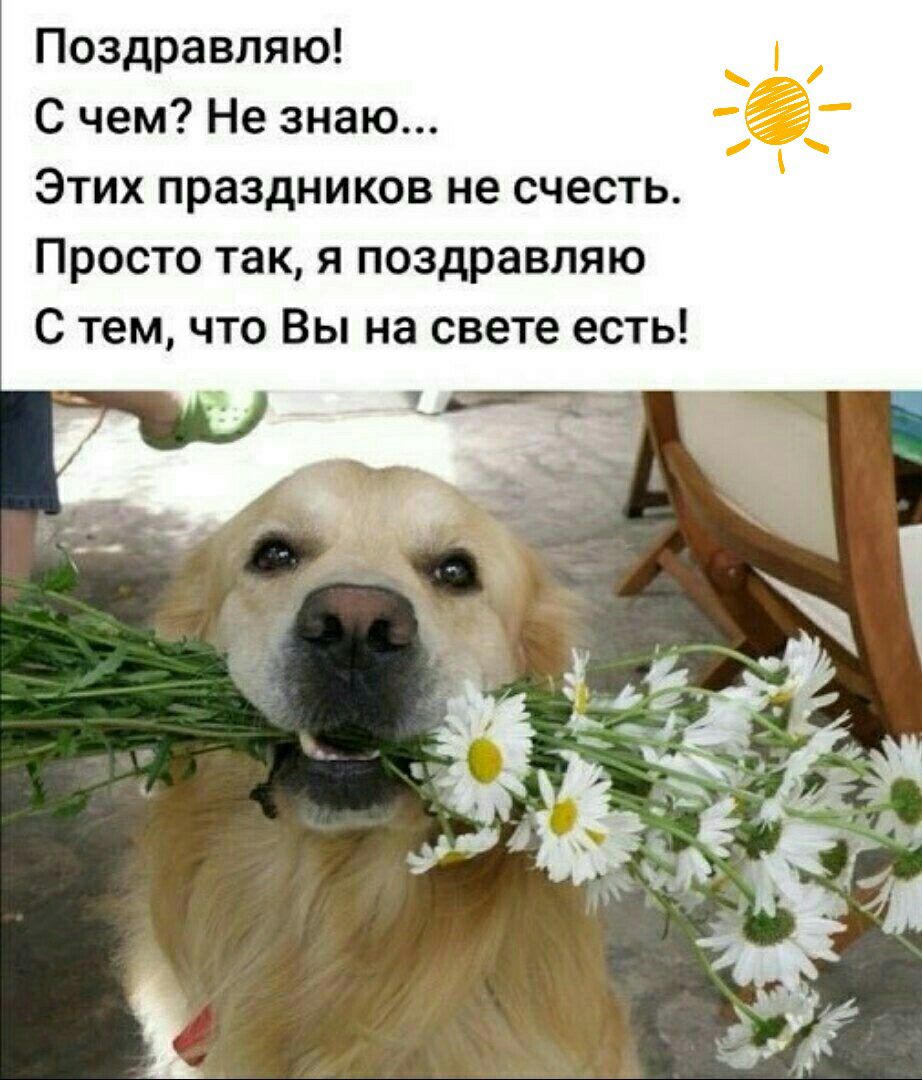Поздравляю С чем Не знаю Этих праздников не счесть Просто так я поздравляю С тем что Вы на свете есть