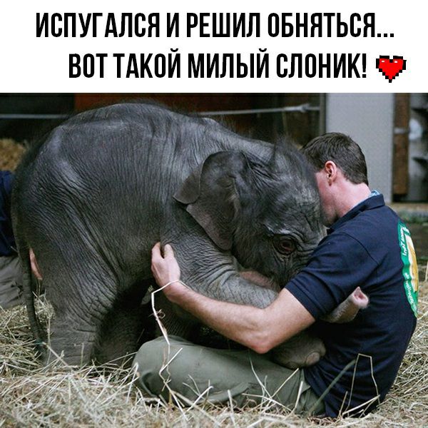 ИБПУГАЛВЯ И РЕШИЛ ПБННТЬБЯ ВПТ ТАКОЙ МИЛЫЙ БЛПНИК
