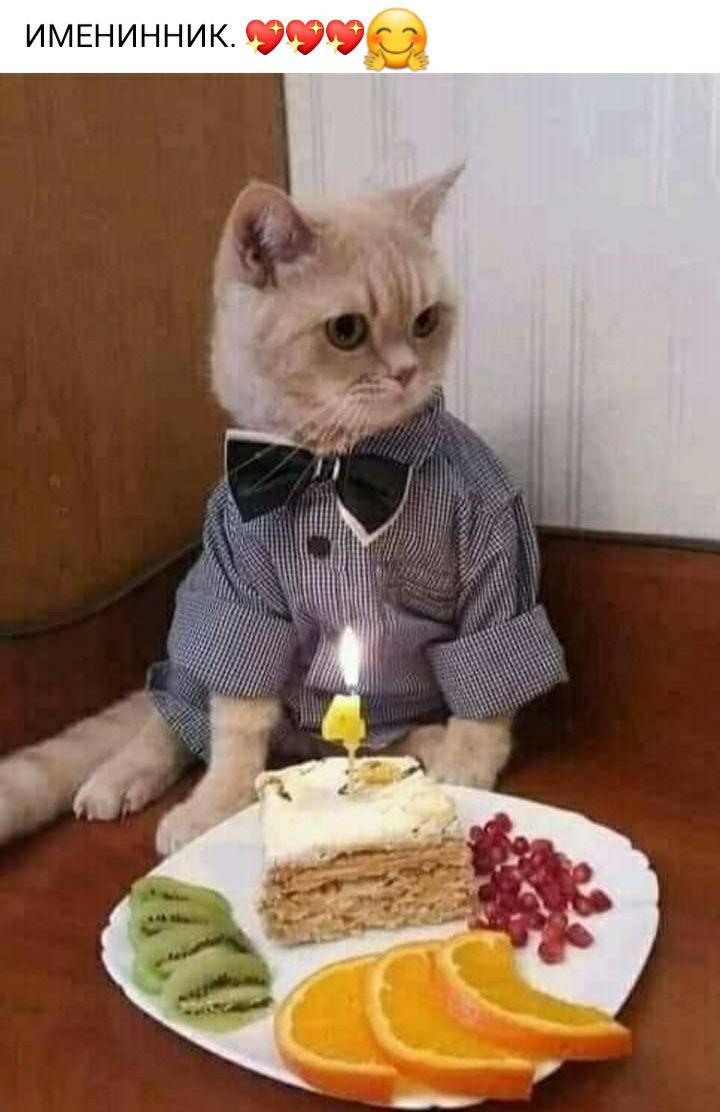 ИМЕНИННИКОФФ