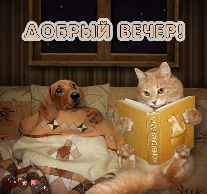 шёщёгэ