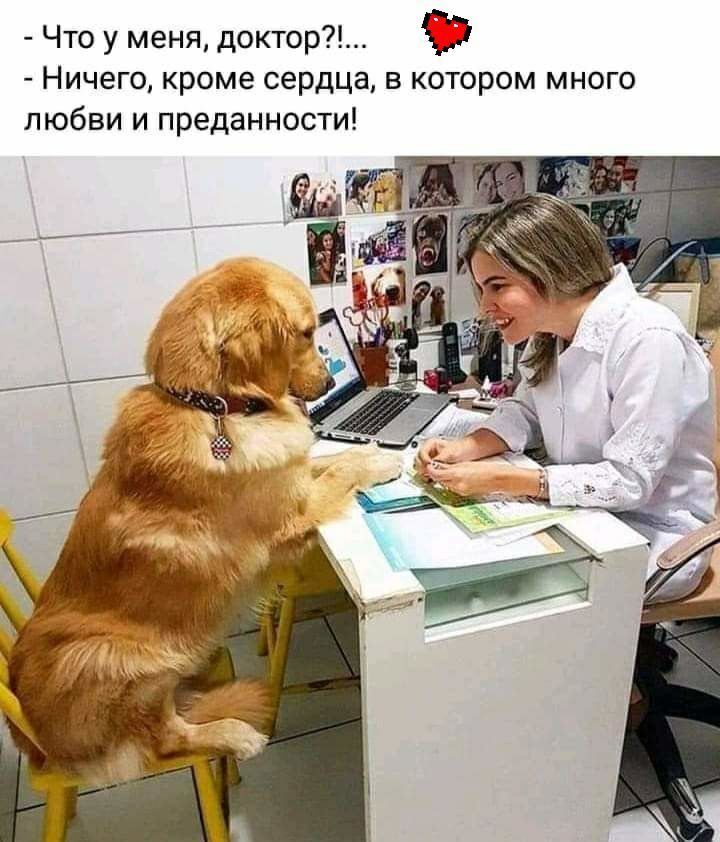 Что у меня доктор 37 Ничего кроме сердца в котором много любви и преданности