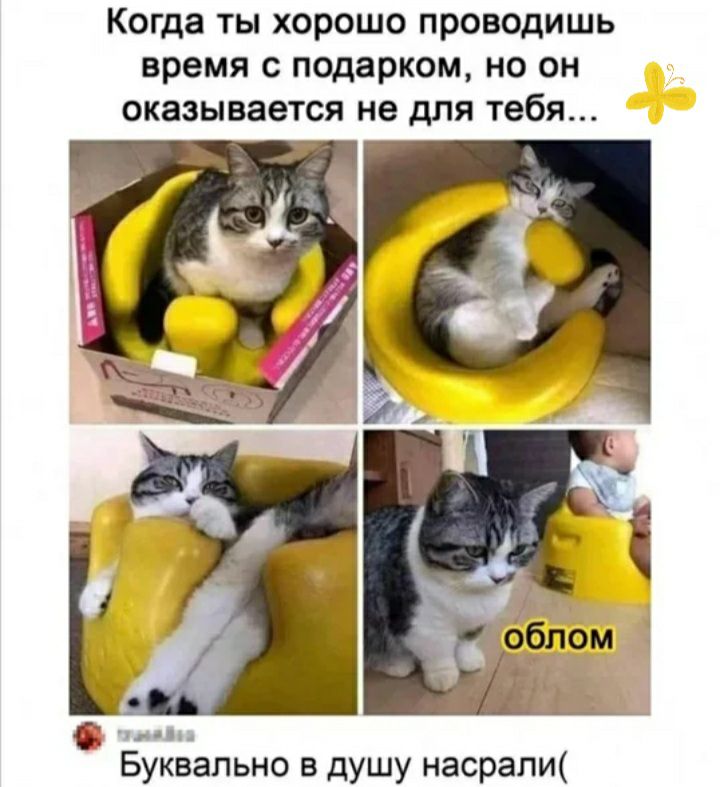 Когда ты хорошо проводишь время с подарком но он оказывается не для тебя 6 в Буквально в душу насрапи