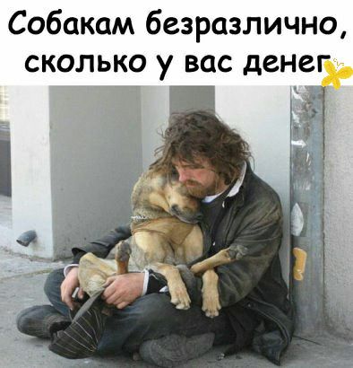 Собакам безразлично сколько у вас денег