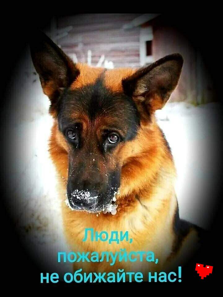не обижайте нас